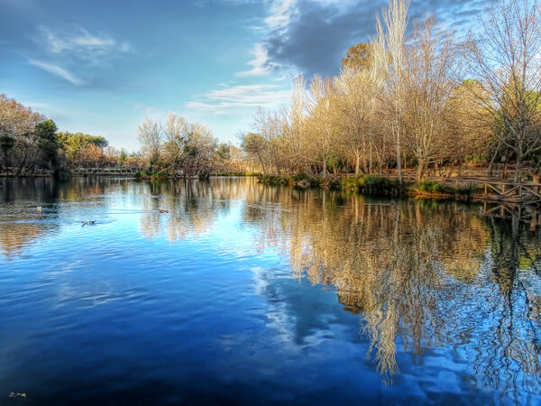 albufera-anna-valencia