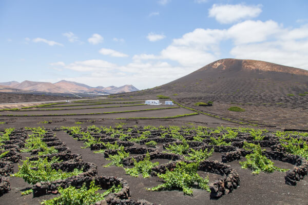 la-geria-como-moverse-por-lanzarote-a-pie