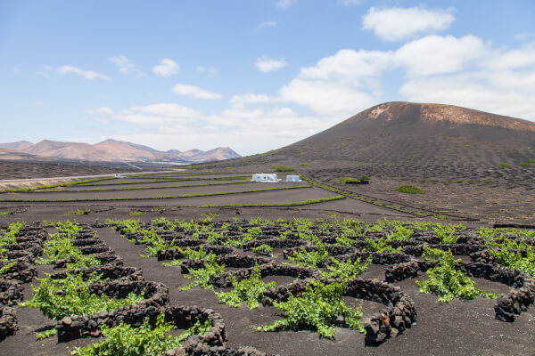 lugares-que-ver-lanzarote-la-geria