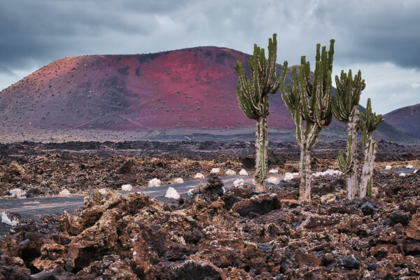 que-ver-en-lanzarote-tinajo