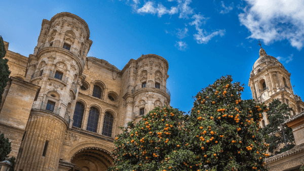 catedral-malaga