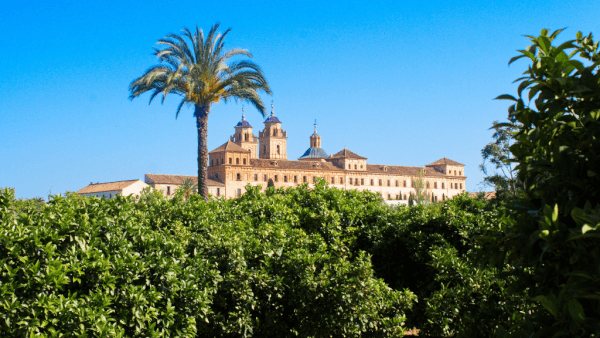 huerta-murcia