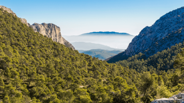 sierra-murcia