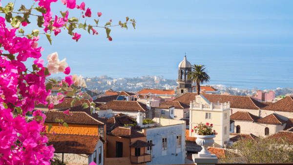 orotava-tenerife