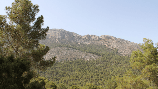 sierra-espuña-murcia